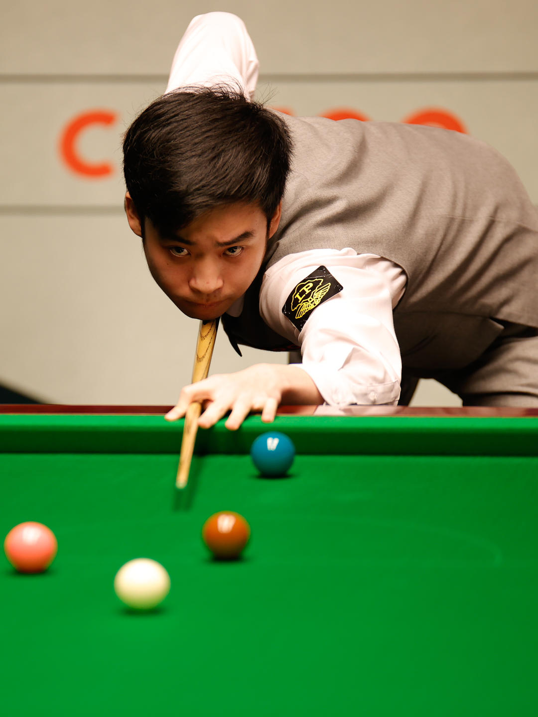 进行大幅引 进行大幅引